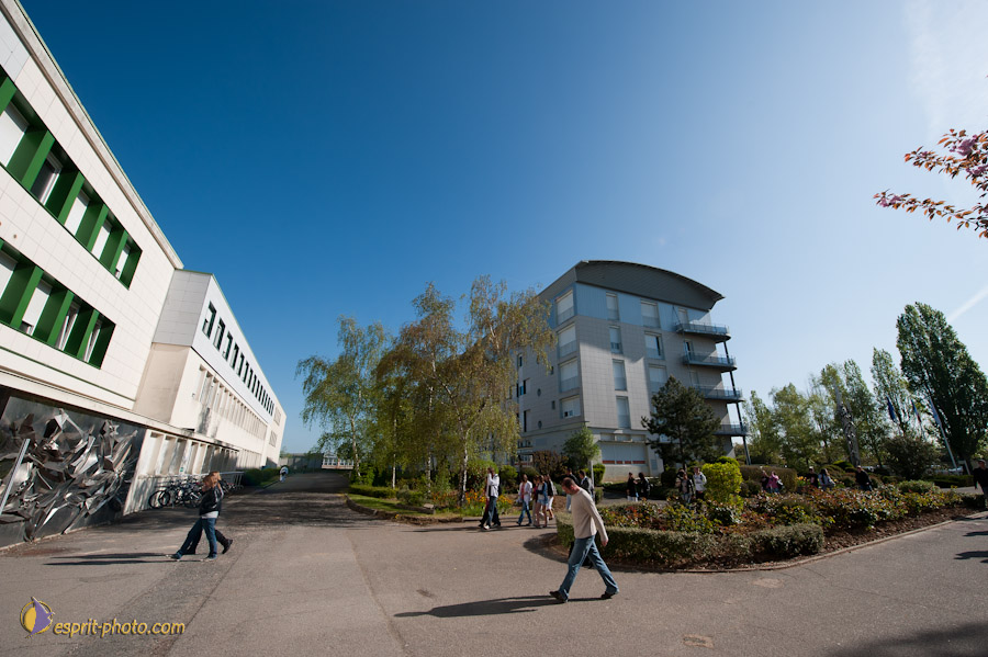 Nom de l'image : D30102037a_(c)Norbert-JUNG.com — Description :